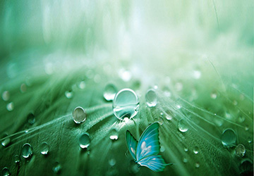 建筑防水行業“質量提升萬里行”活動啟動儀式在京舉行